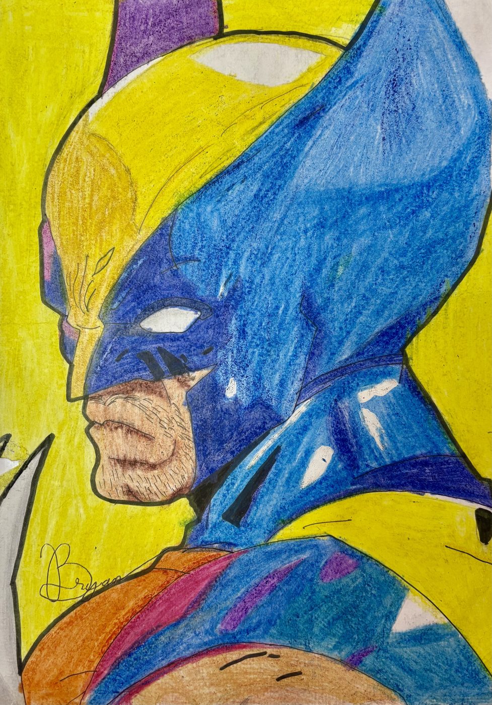 Wolverine colorido com lápis de cor